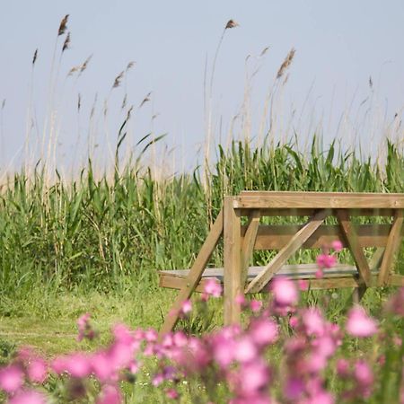 De Tijnjehoeve Boornzwaag over de Wielen Экстерьер фото